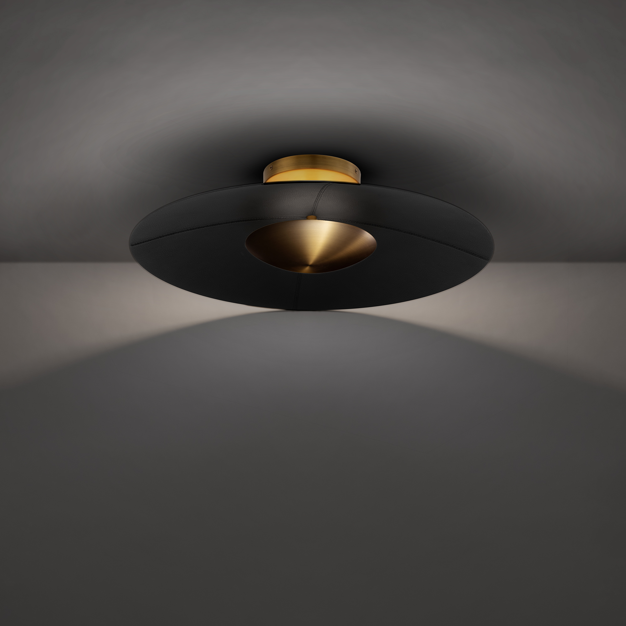 Brody lighting product