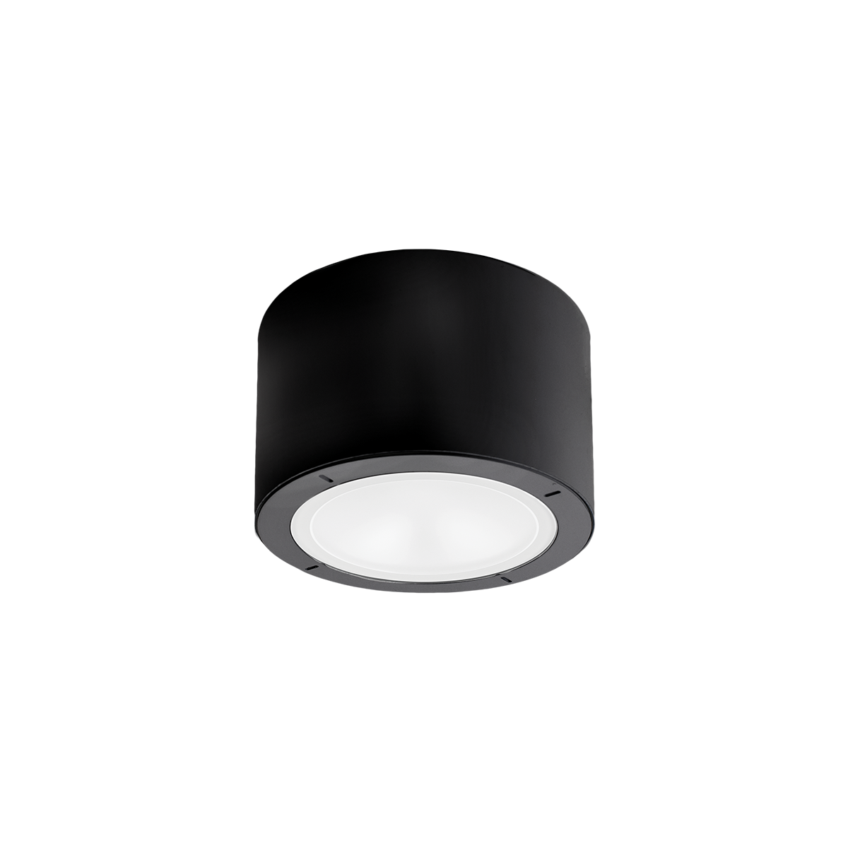 Modern shop forms vessel
